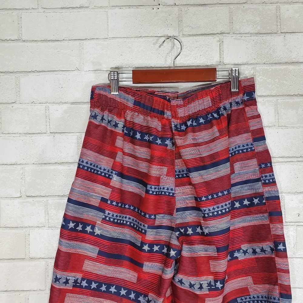 Speedo patriotic swim trunks - Picture 13 of 14